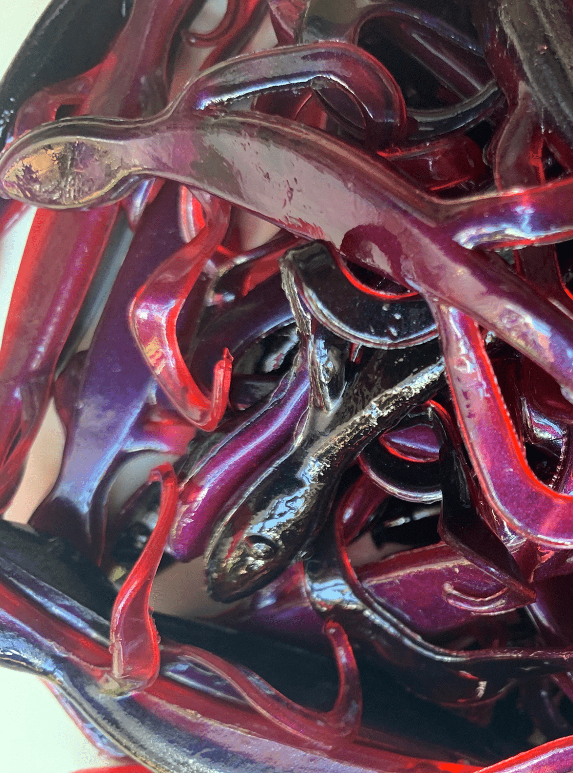 Cómo funcionan los cebos de vinilo salamandras
